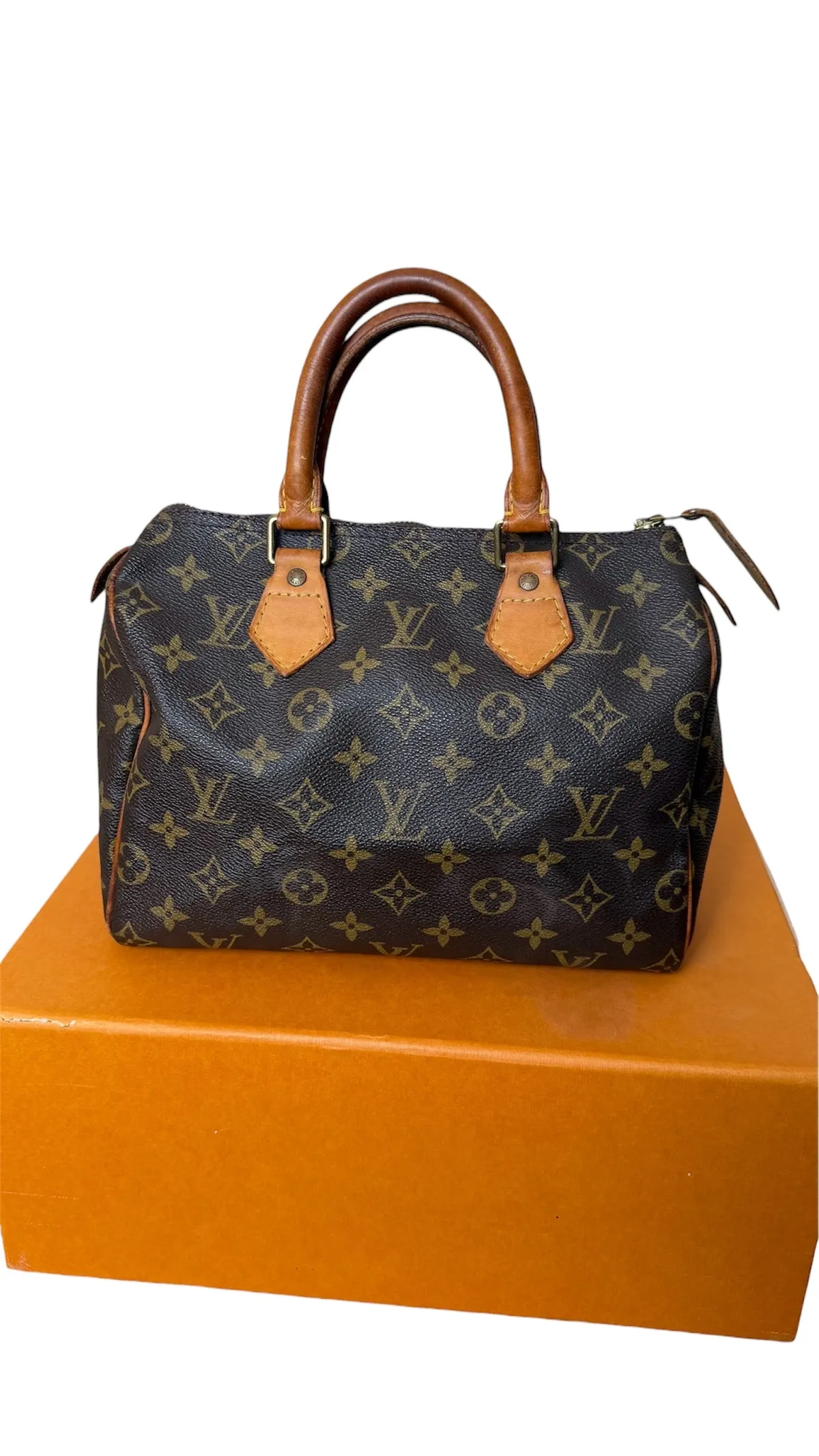 LOUIS VUITTON Speedy 25 Monogram